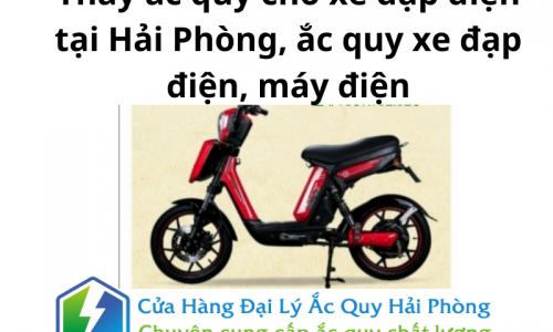 Thay ắc quy cho xe đạp điện tại Hải Phòng, ắc quy xe đạp điện, máy điện